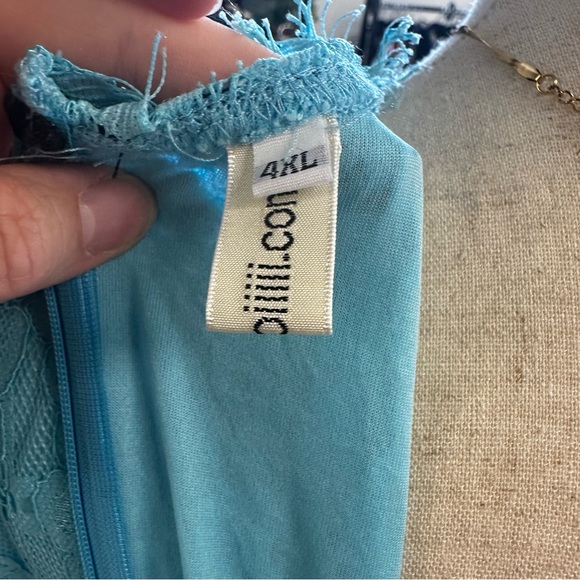 Blue Lace Long Sleeve Victorian Dress - Picture 7 of 11